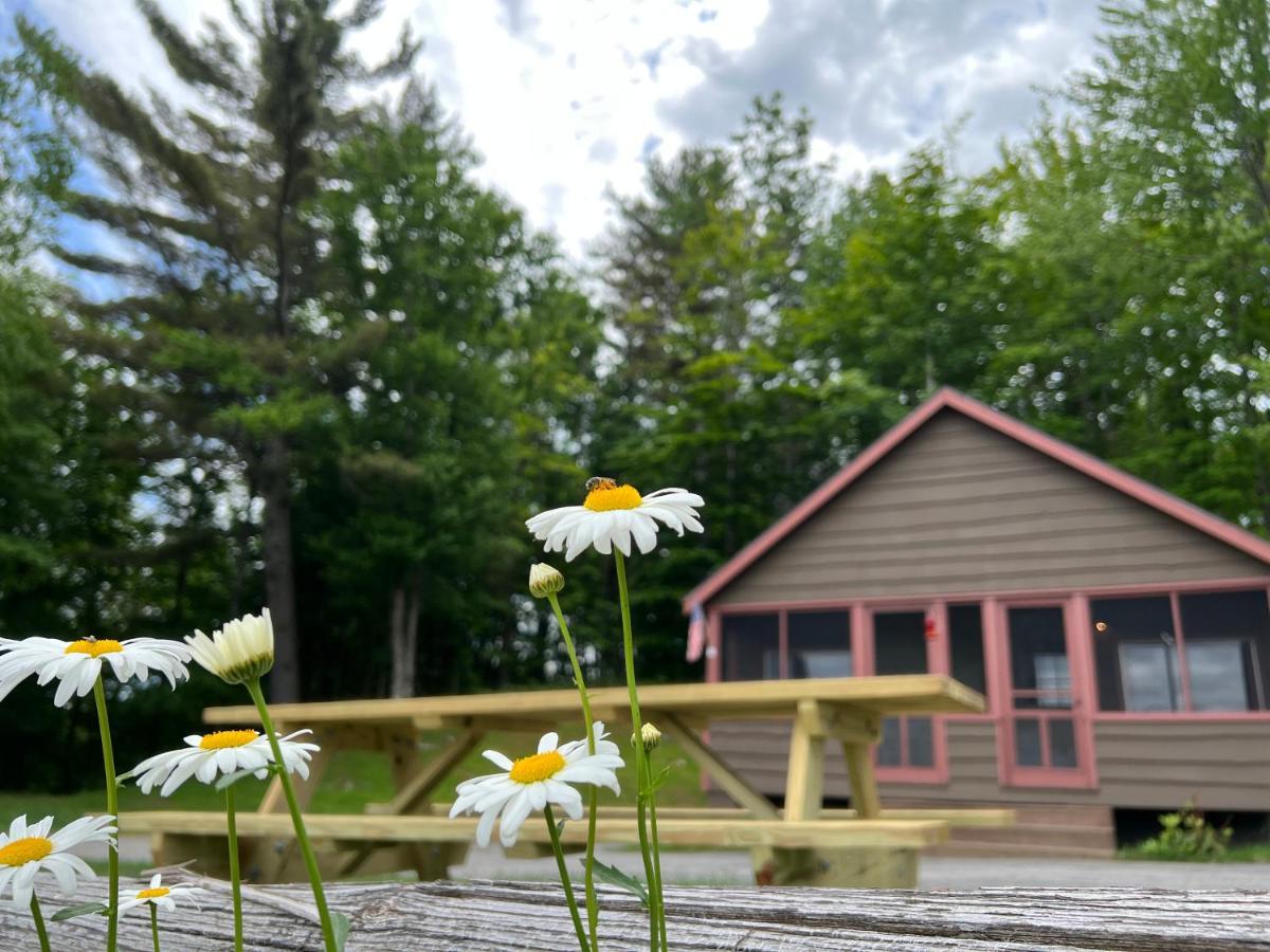 Adirondack Lake Cabins Hotel Indian Lake Kültér fotó